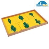  Giáo cụ Montessori - Tủ lá cây 4 ngăn - BOTANY LEAF CABINET WITH INSETS 