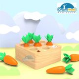  Giáo cụ Montessori - Thu hoạch cà rốt - TreeYear Montessori 