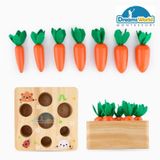  Giáo cụ Montessori - Thu hoạch cà rốt - TreeYear Montessori 