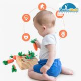  Giáo cụ Montessori - Thu hoạch cà rốt - TreeYear Montessori 
