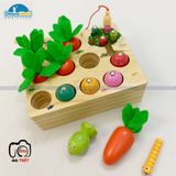  Giáo cụ Montessori - Thu hoạch cà rốt - TreeYear Montessori 