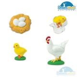  Giáo cụ Montessori - Mô Hình Vòng Đời Con Gà Mái - Chicken Life Cycle Model 