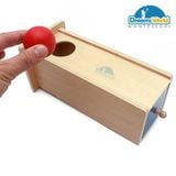  Giáo Cụ Montessori - Trò chơi thả bóng vào hộp có lỗ và ngăn kéo - Object Permanence Box with Drawer 