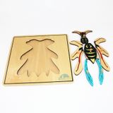  Giáo cụ Montessori - Tranh ghép sinh học hình con ong - Bee puzzle 