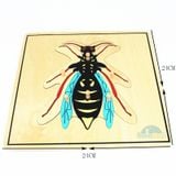  Giáo cụ Montessori - Tranh ghép sinh học hình con ong - Bee puzzle 
