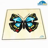  Giáo cụ Montessori - Tranh ghép sinh học hình con bướm - Butterfly puzzle 
