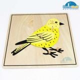  Giáo cụ Montessori - Tranh ghép sinh học hình con chim - Bird puzzle 