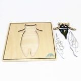  Giáo cụ Montessori - Tranh ghép sinh học hình con ruồi - Fly puzzle 
