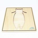  Giáo cụ Montessori - Tranh ghép sinh học hình con ruồi - Fly puzzle 