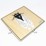  Giáo cụ Montessori - Tranh ghép sinh học hình con ruồi - Fly puzzle 