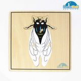  Giáo cụ Montessori - Tranh ghép sinh học hình con ruồi - Fly puzzle 