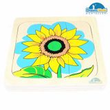  Giáo cụ Montessori - Vòng Đời Hoa Hướng Dương - Development of Sunflower 