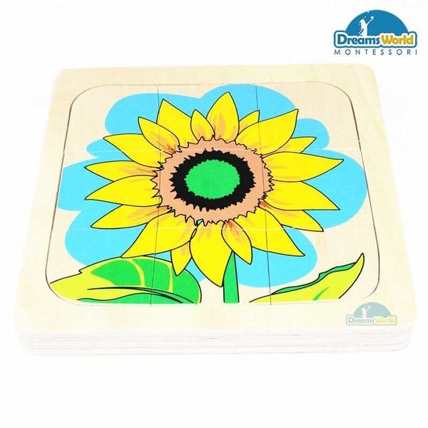  Giáo cụ Montessori - Vòng Đời Hoa Hướng Dương - Development of Sunflower 