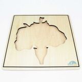  Giáo cụ Montessori - Tranh ghép sinh học hình hoa - Flower puzzle 