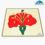  Giáo cụ Montessori - Tranh ghép sinh học hình hoa - Flower puzzle 