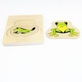  Giáo cụ Montessori - Vòng Đời Con Ếch - Development of Frog 