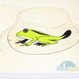  Giáo cụ Montessori - Vòng Đời Con Ếch - Development of Frog 