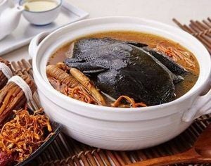  Gà Ác Tiềm Đông Trùng Hạ Thảo 