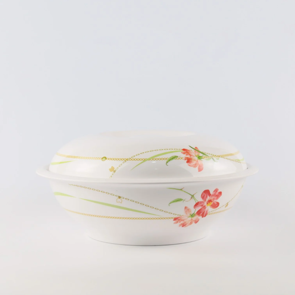 Bowl with lid 10