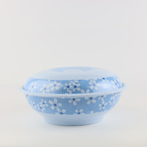 Bowl with lid 10