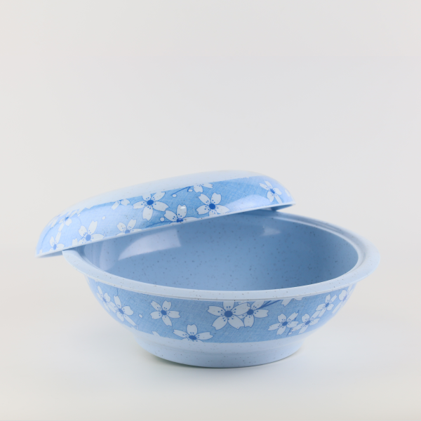 Bowl with lid 10