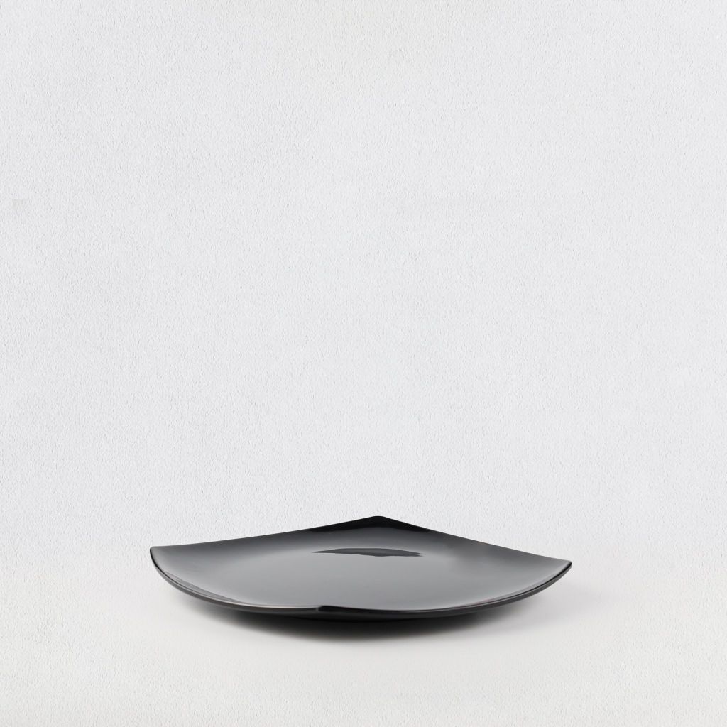 Ex-shape square plate 10.5