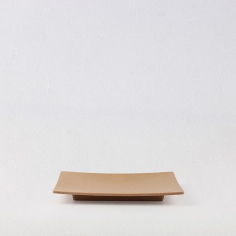 Matte rectangular plate12