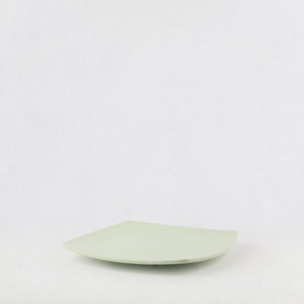 Ex-shape square plate 10.5