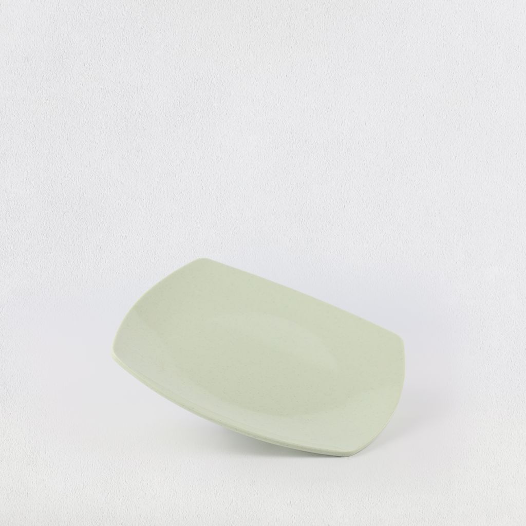 Ex-shape square plate 10.5