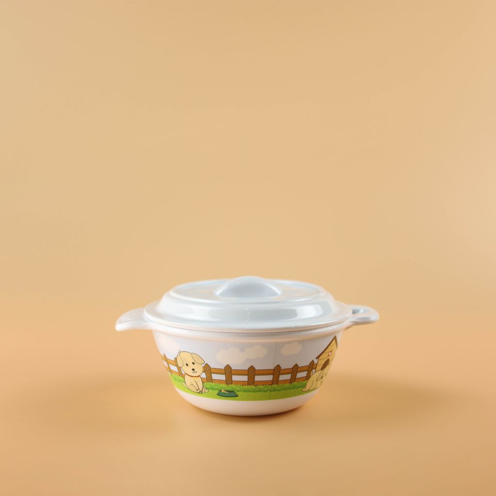 Bowl with lid 2 handles 5