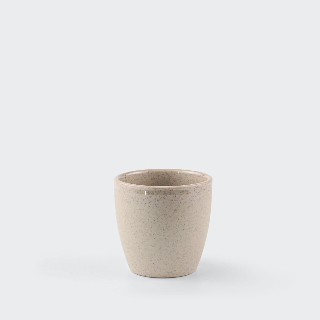 Ly nhám bầu thấp 3