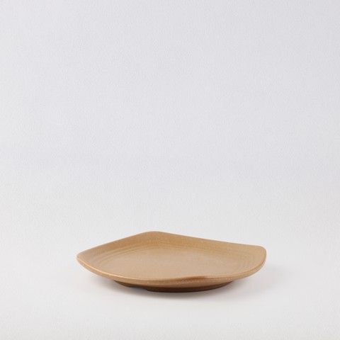 Matte square rounded edge plate 9.5