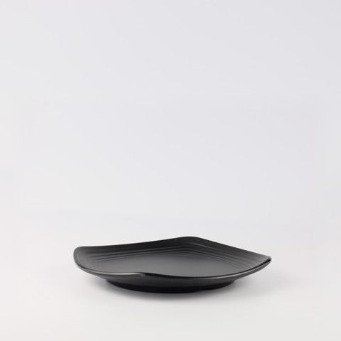 Matte square rounded edge plate 10.5