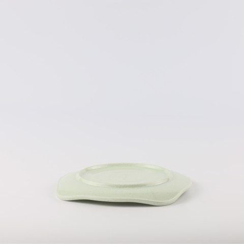 Square whorl plate 7