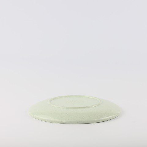 Round whorl plate 10