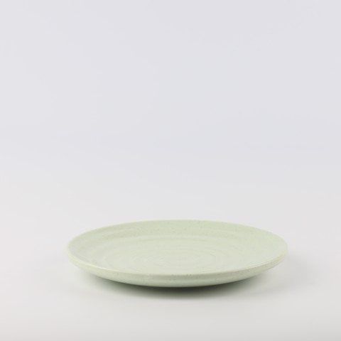 Round whorl plate 10