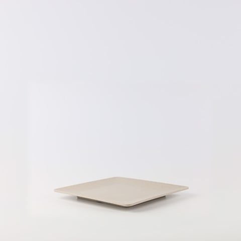 Matte square plate 8.5