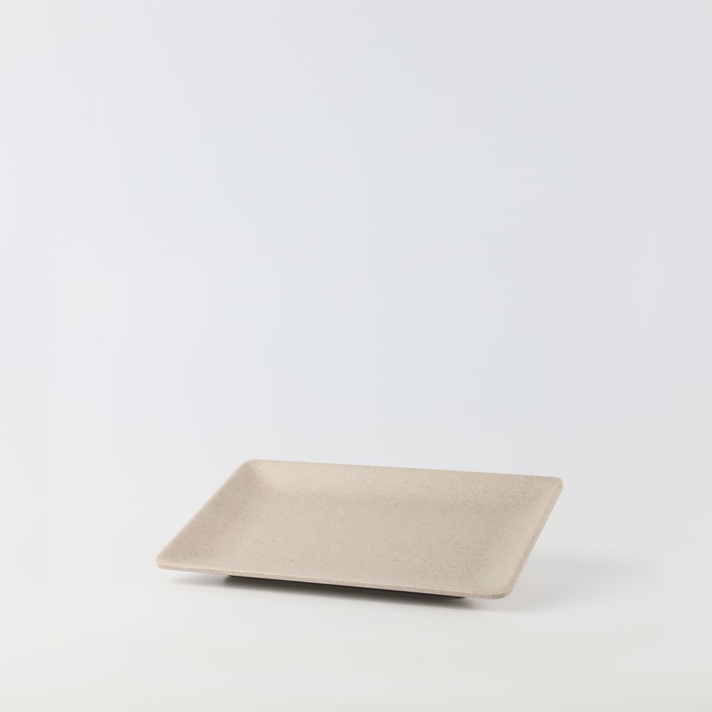 Dĩa Chữ Nhật Nhám10