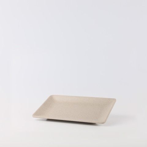 Matte rectangular plate 10