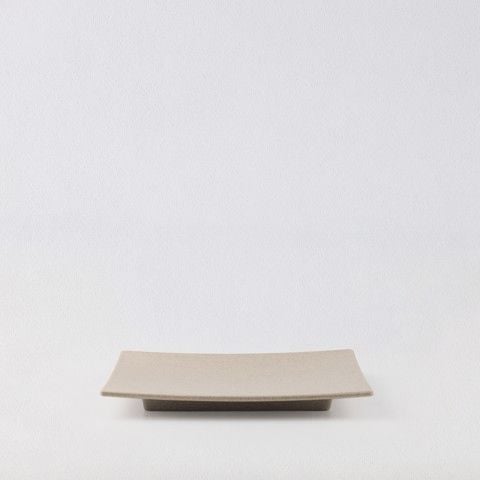 Matte rectangular plate12