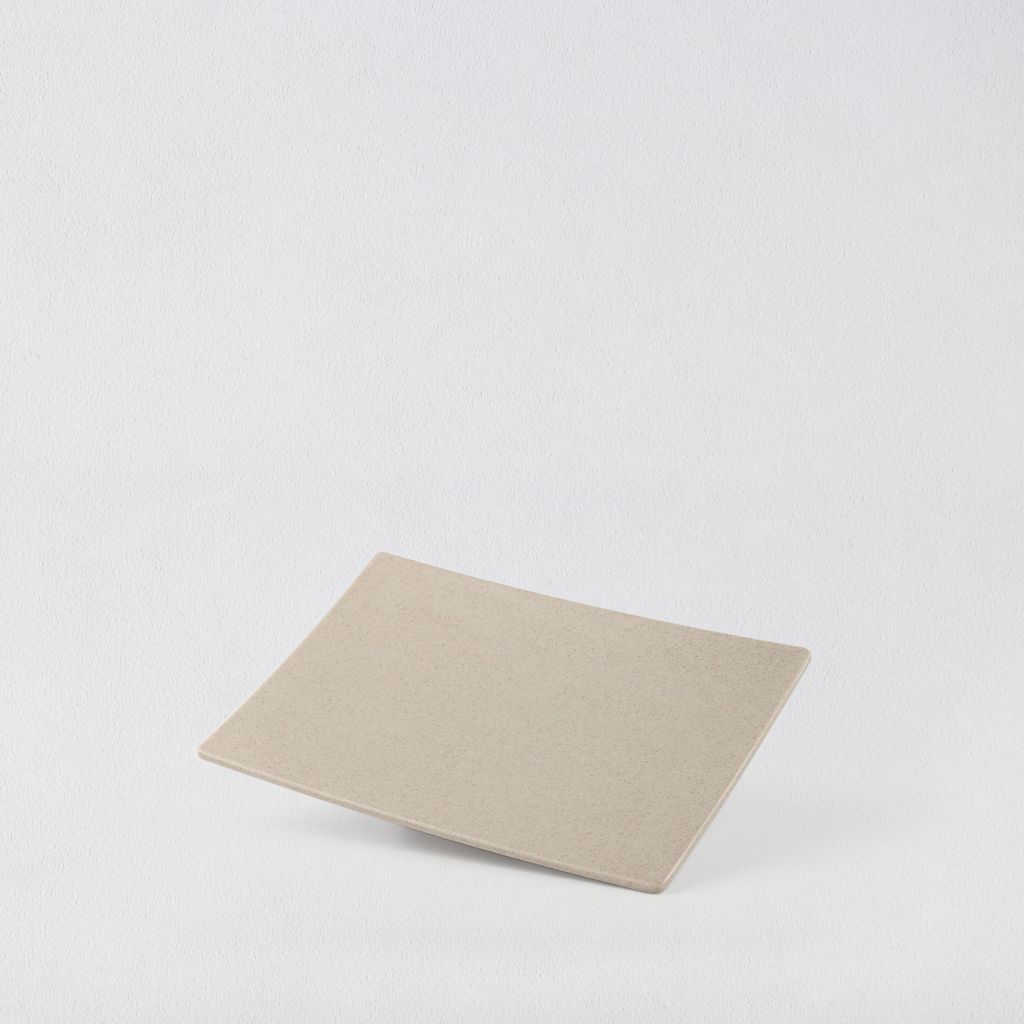 Dĩa Chữ Nhật Nhám 10