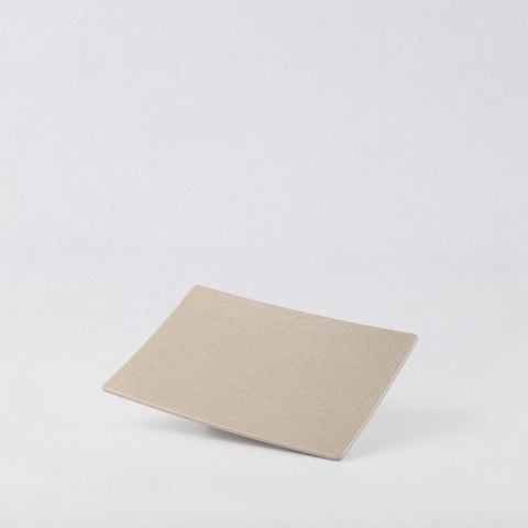 Matte rectangular plate12