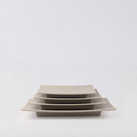 Matte rectangular plate12