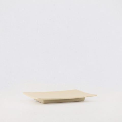 Sandy rectangular plate 10