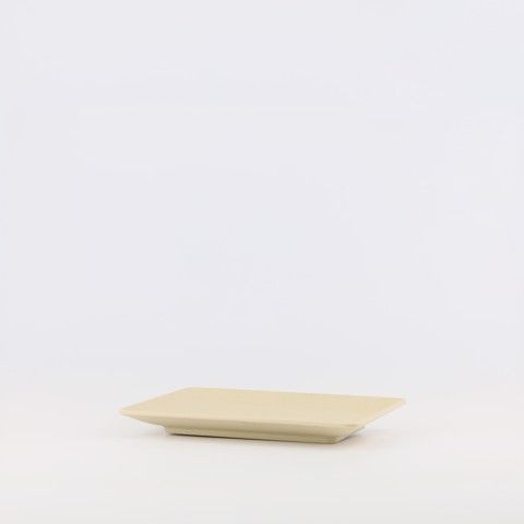 Matte rectangular plate 10