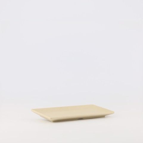 Matte rectangular plate 12