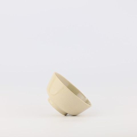 Rice Bowl 4