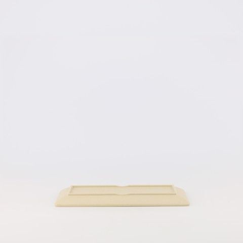 Matte rectangular plate 12