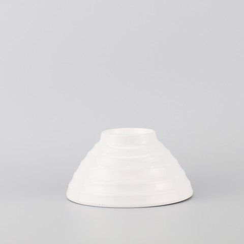 Japanese Rice Bowl 5