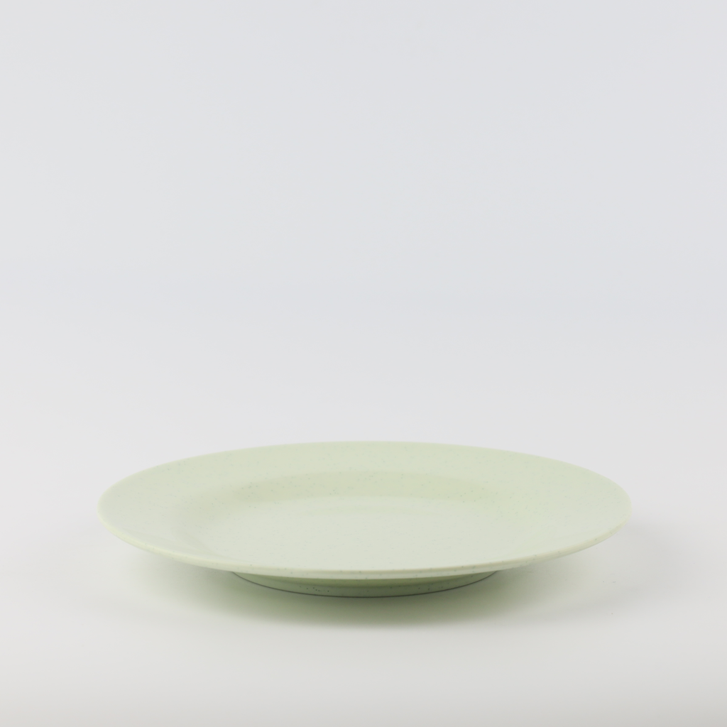 Flat Plate 9